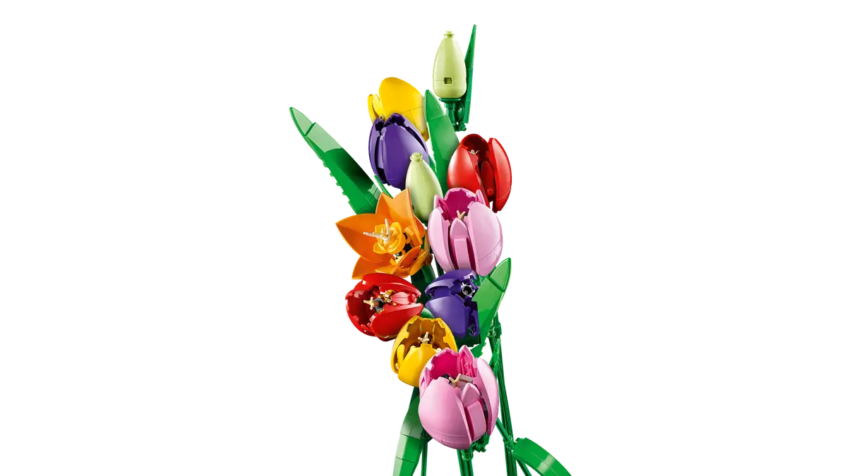 Le bouquet de tulipes