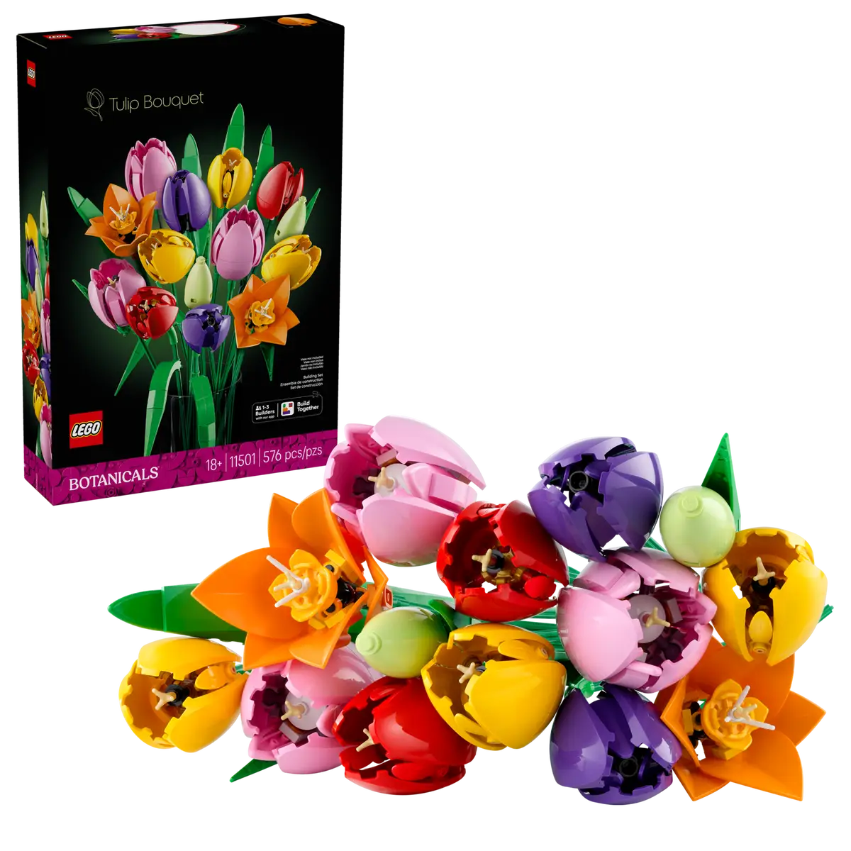 Le bouquet de tulipes